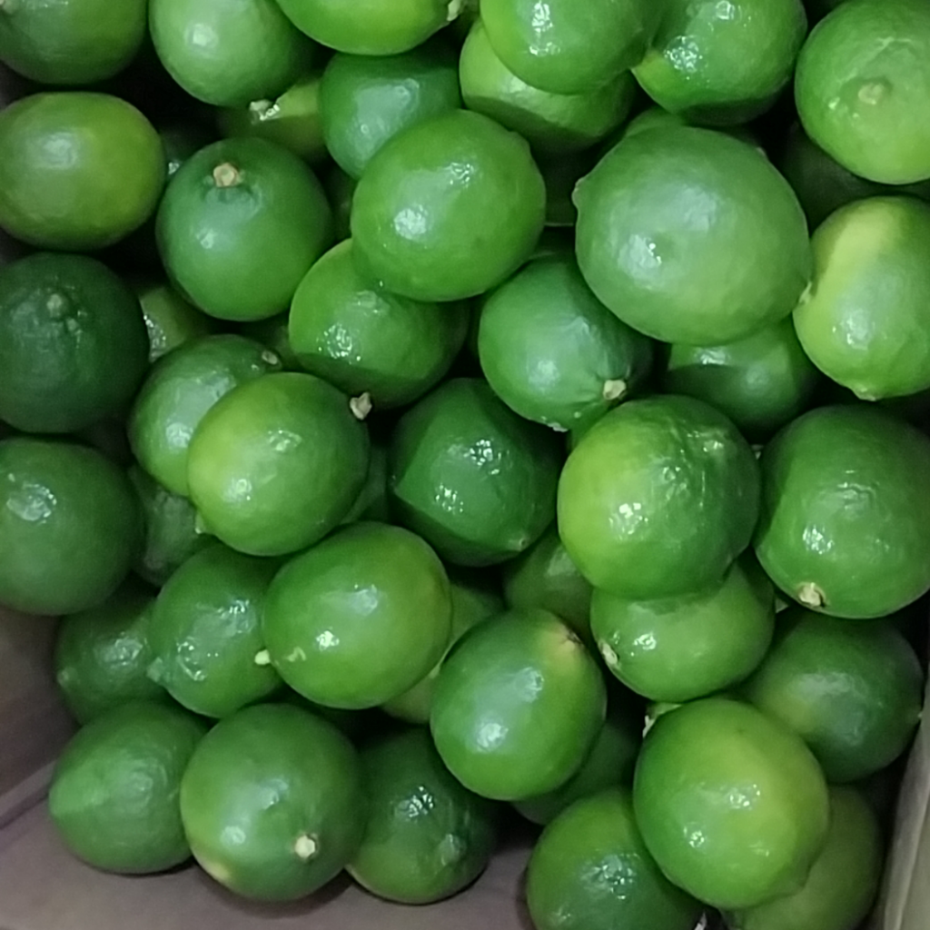 PICO AGRIVIET Products Vegetables Seedless Lime (Persian Lime)