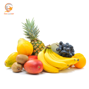 FRUITS